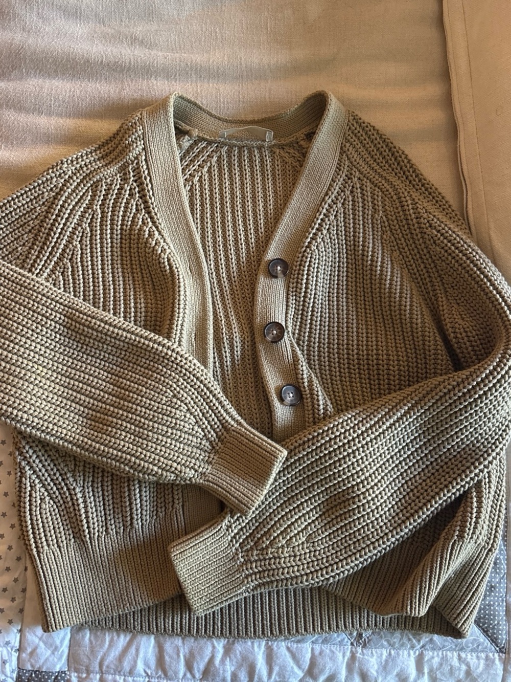 Everlane Chunky V-Neck Button Cardigan in Beige